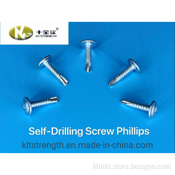 Self Tapping Screw DIN7981 DIN7982